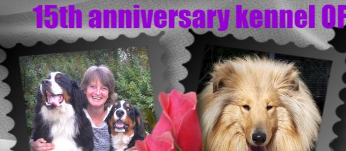 29-08-2022 15 jarig jubileum kennel OF COMPENYEN TREASURES